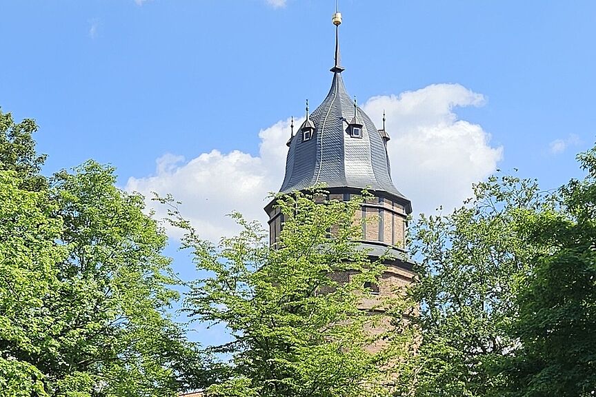 Diepholzer Schloss Diepholzer Schloss