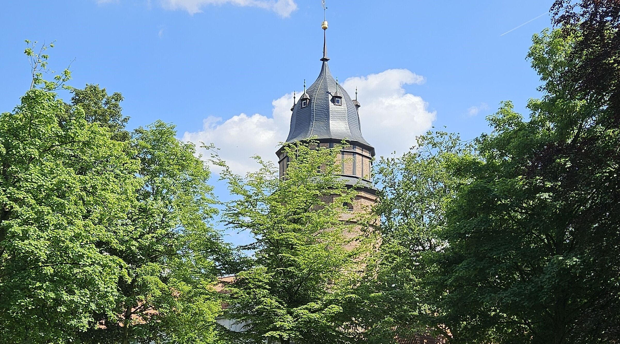 Diepholzer Schloss