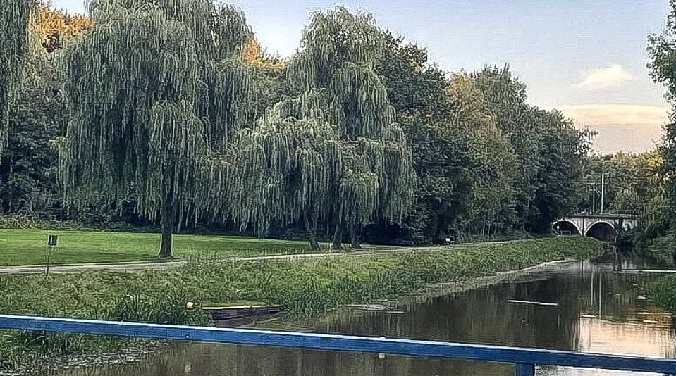 Header Barnstorf Barnstorf