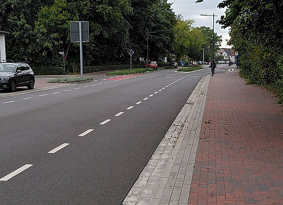Fahrradschutzstreifen DH